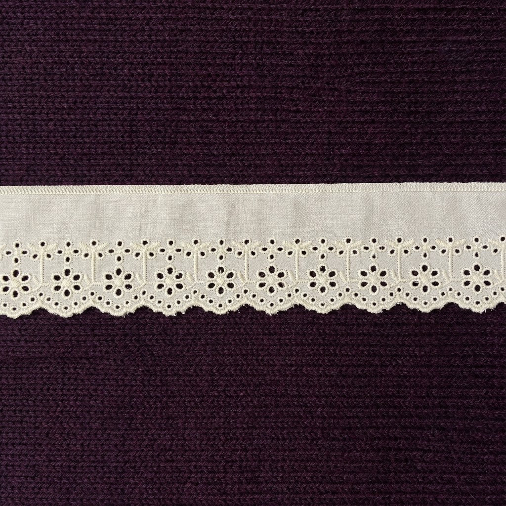 Natural Schiffli Embroidery Lace Panel Design-5 mtr
