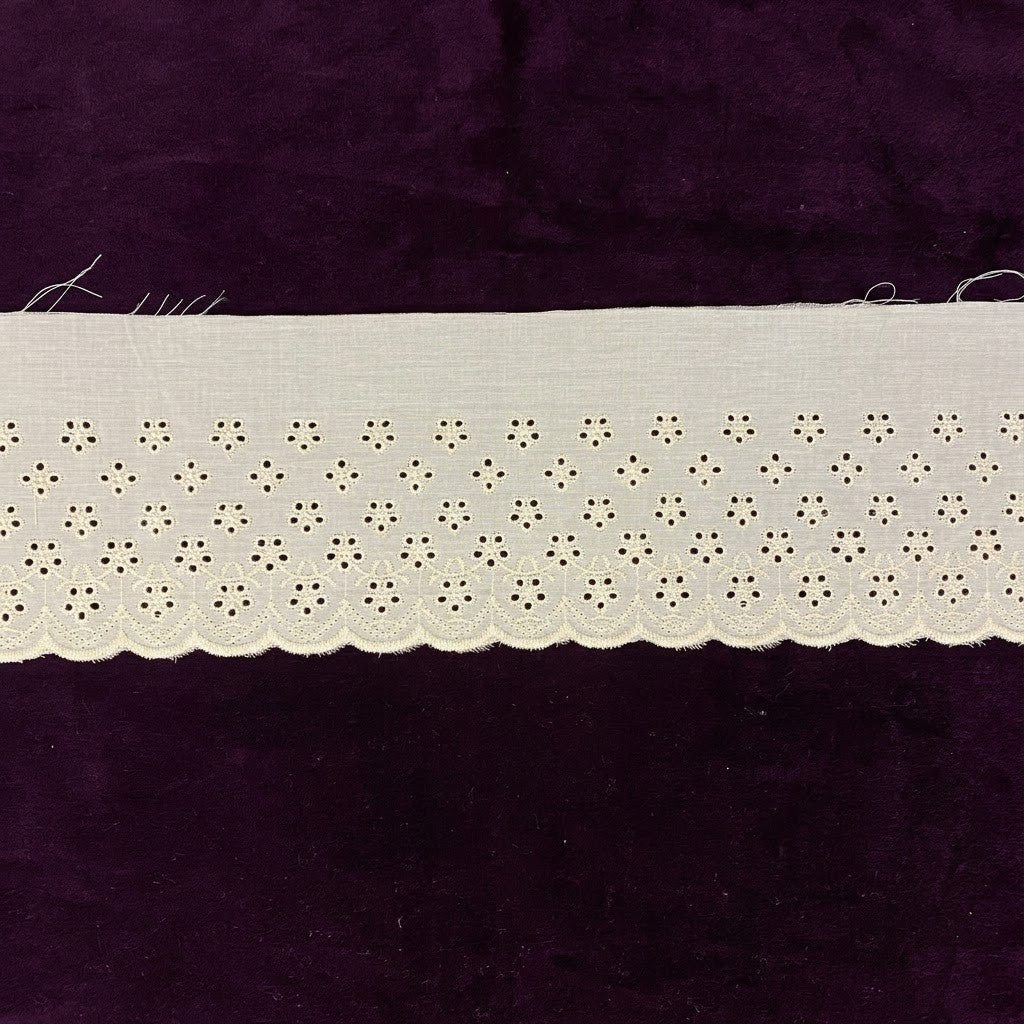 Natural Schiffli Embroidery Lace Lattice Dot Design-5 mtr