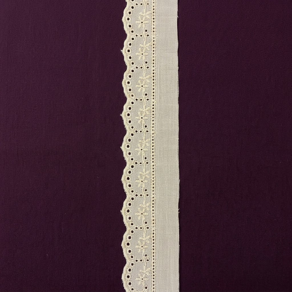 Natural Schiffli Embroidery Lace Vine Design-5 mtr