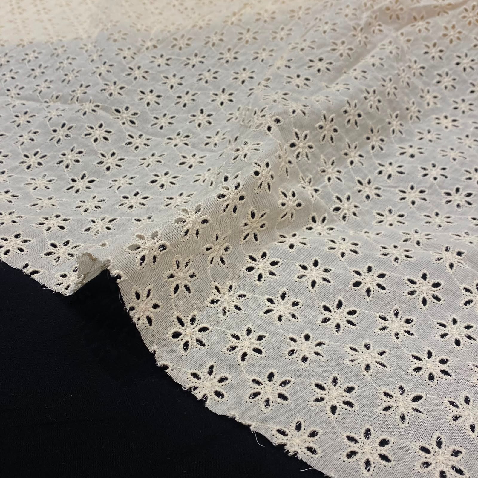 Natural Floral Schiffli Embroidered Fabric